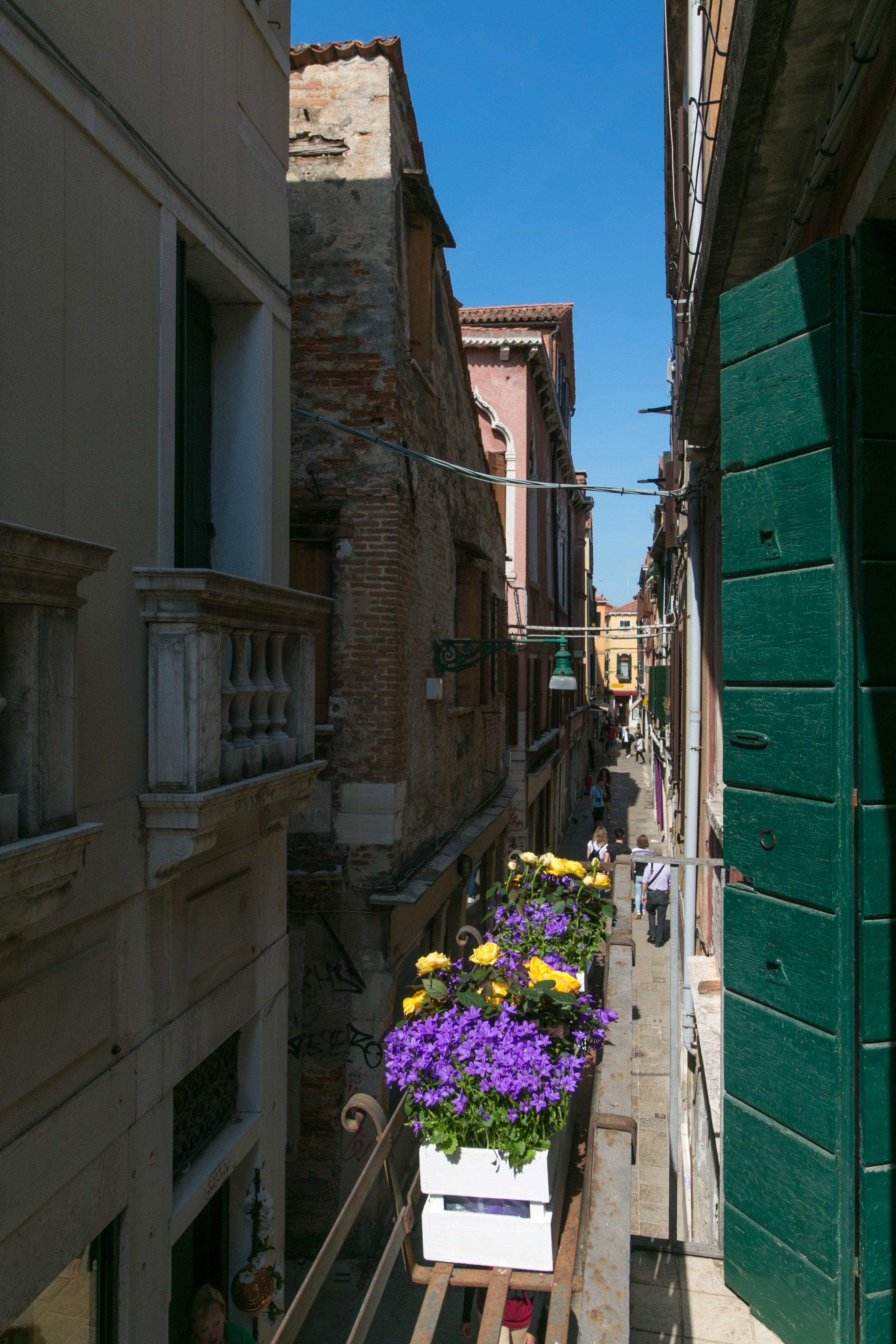 Pantalon Hotel Venice